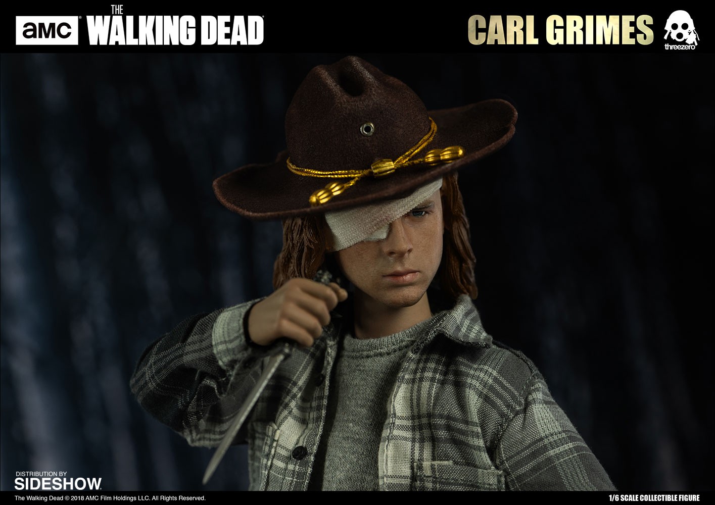 The Walking Dead Carl Grimes Sixth Scale Figure  Collector Edition (Prototype Shown) View 5