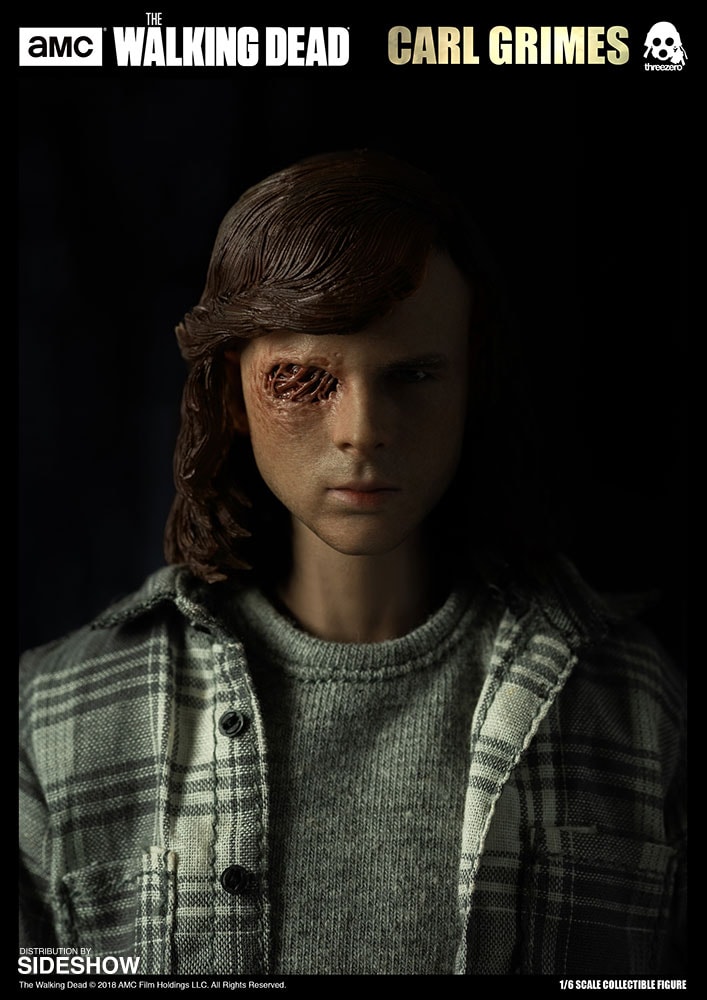 The Walking Dead Carl Grimes Sixth Scale Figure  Collector Edition (Prototype Shown) View 8
