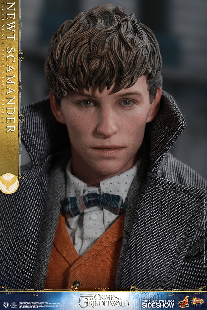 Fantastic Beasts The Crimes of Grindelwald Newt Scamander Sixth Scale Figure  Collector Edition (Prototype Shown) View 11
