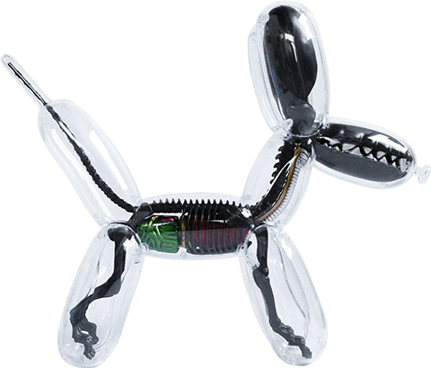 Mighty Jaxx Originals Balloon Dog Anatomy Metallic Black Collectible Figure  (Prototype Shown) View 9