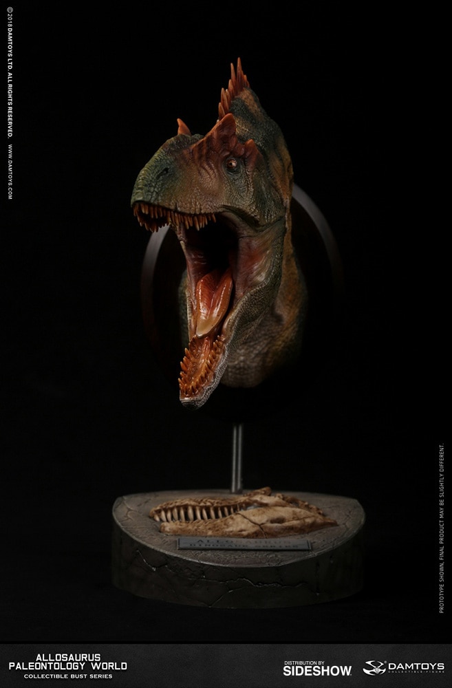 Allosaurus Bust  (Prototype Shown) View 3