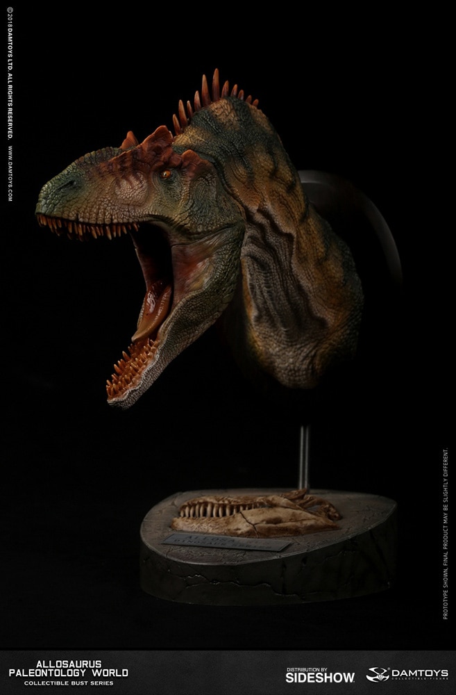 Allosaurus Bust  (Prototype Shown) View 4