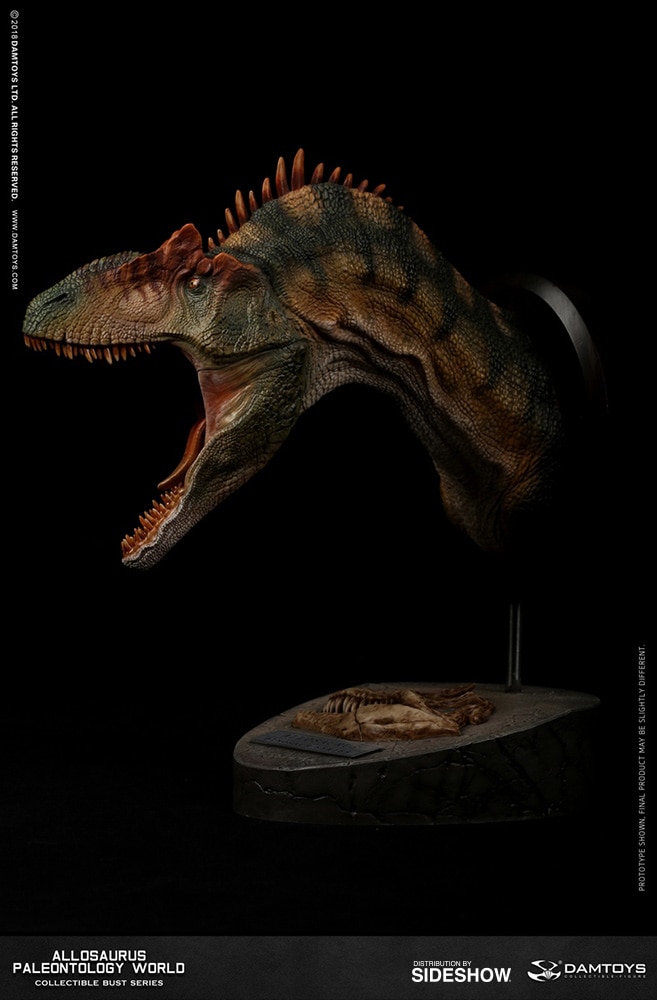 Allosaurus Bust  (Prototype Shown) View 5