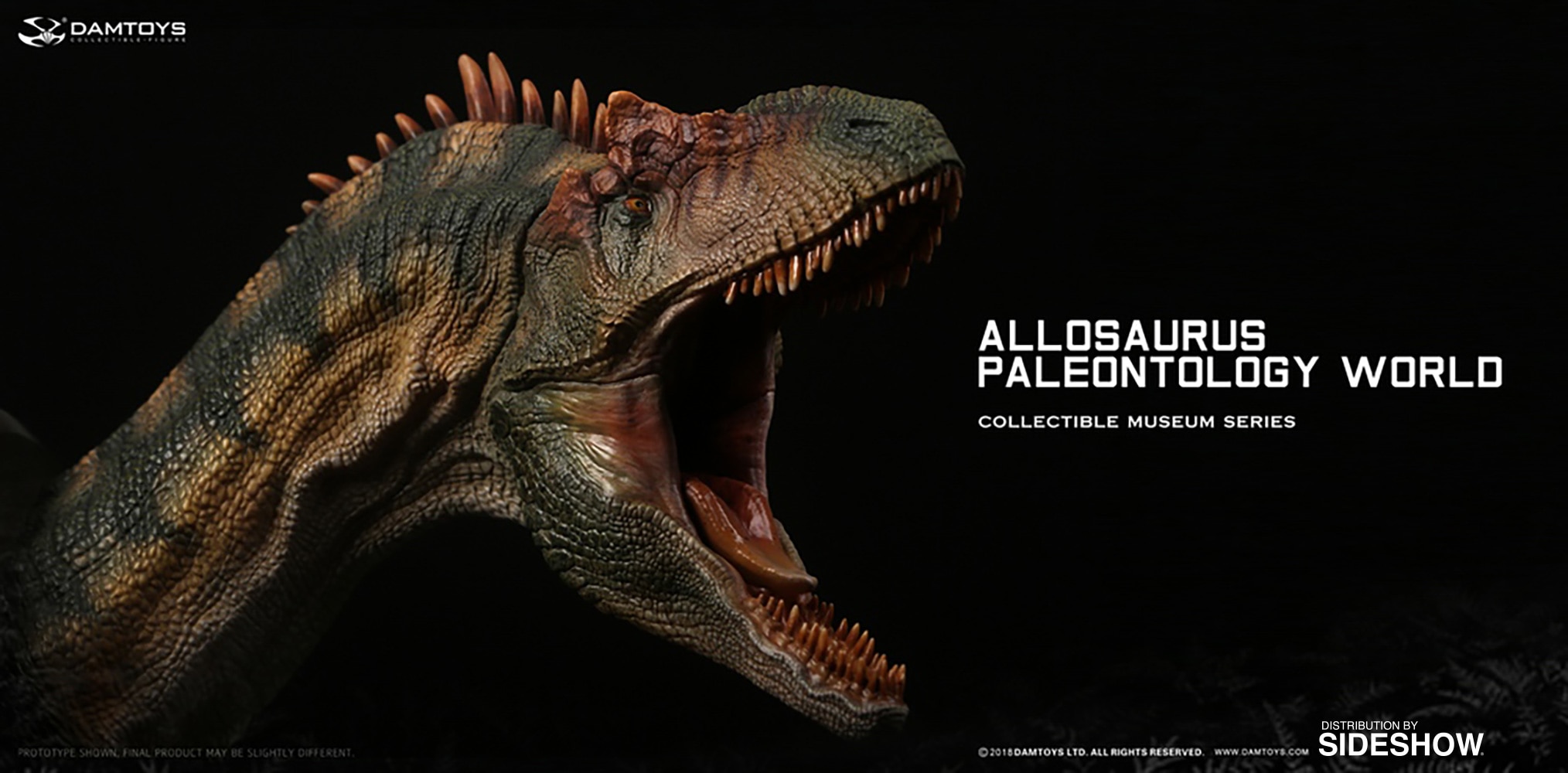 Allosaurus Bust  (Prototype Shown) View 6