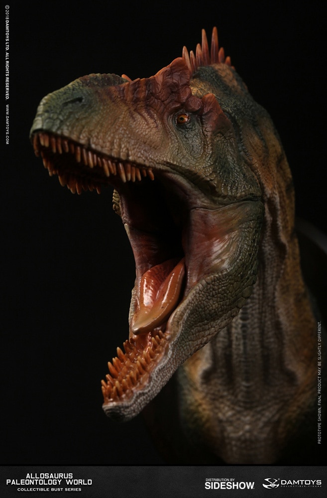 Allosaurus Bust  (Prototype Shown) View 7