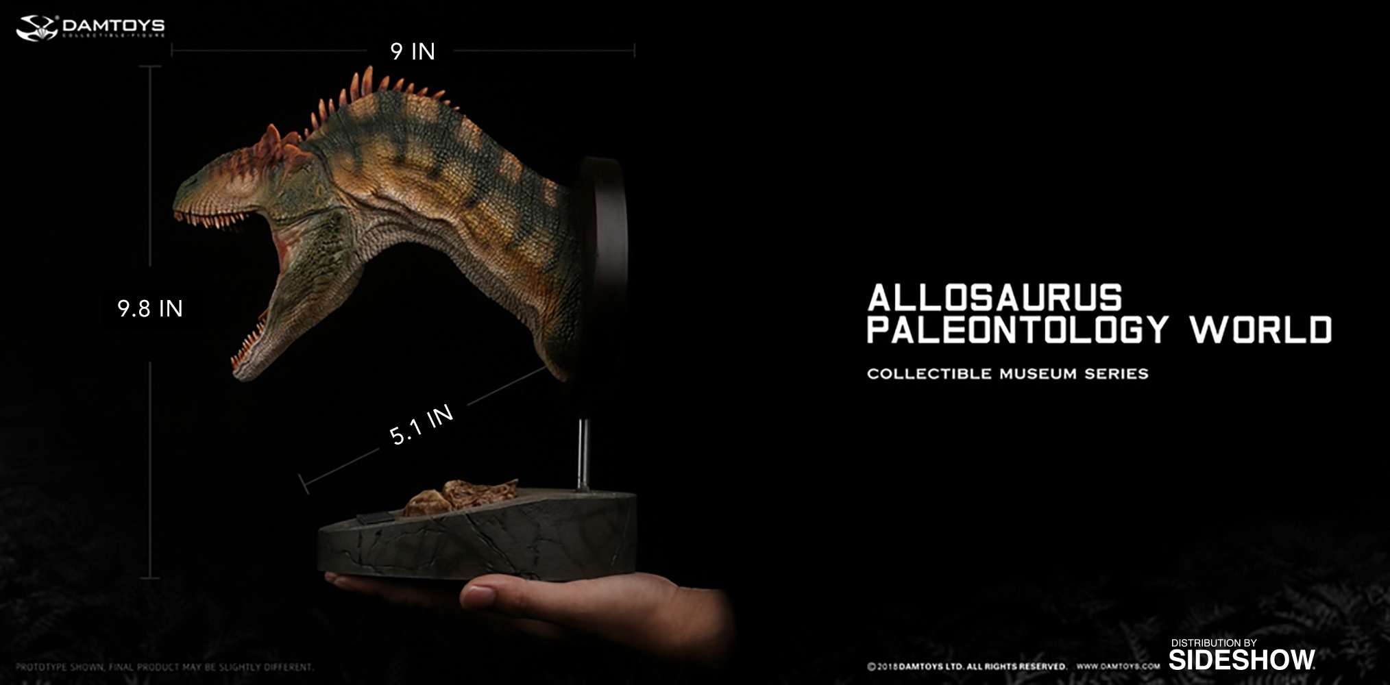 Allosaurus Bust  (Prototype Shown) View 8