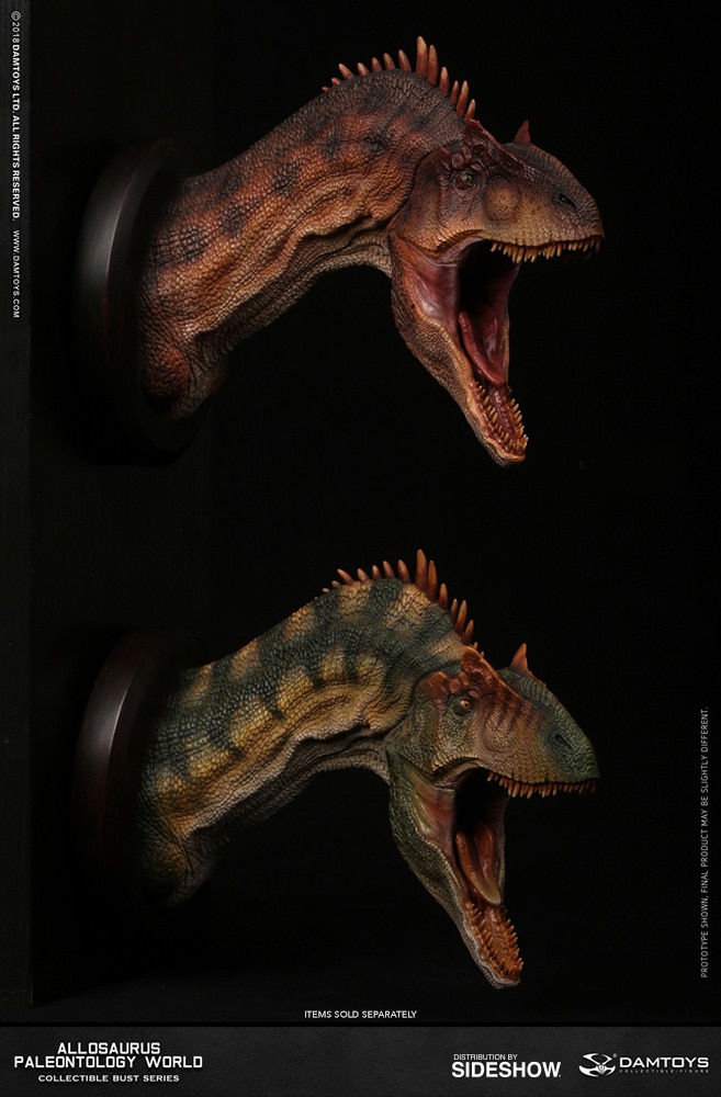 Allosaurus Bust  (Prototype Shown) View 9