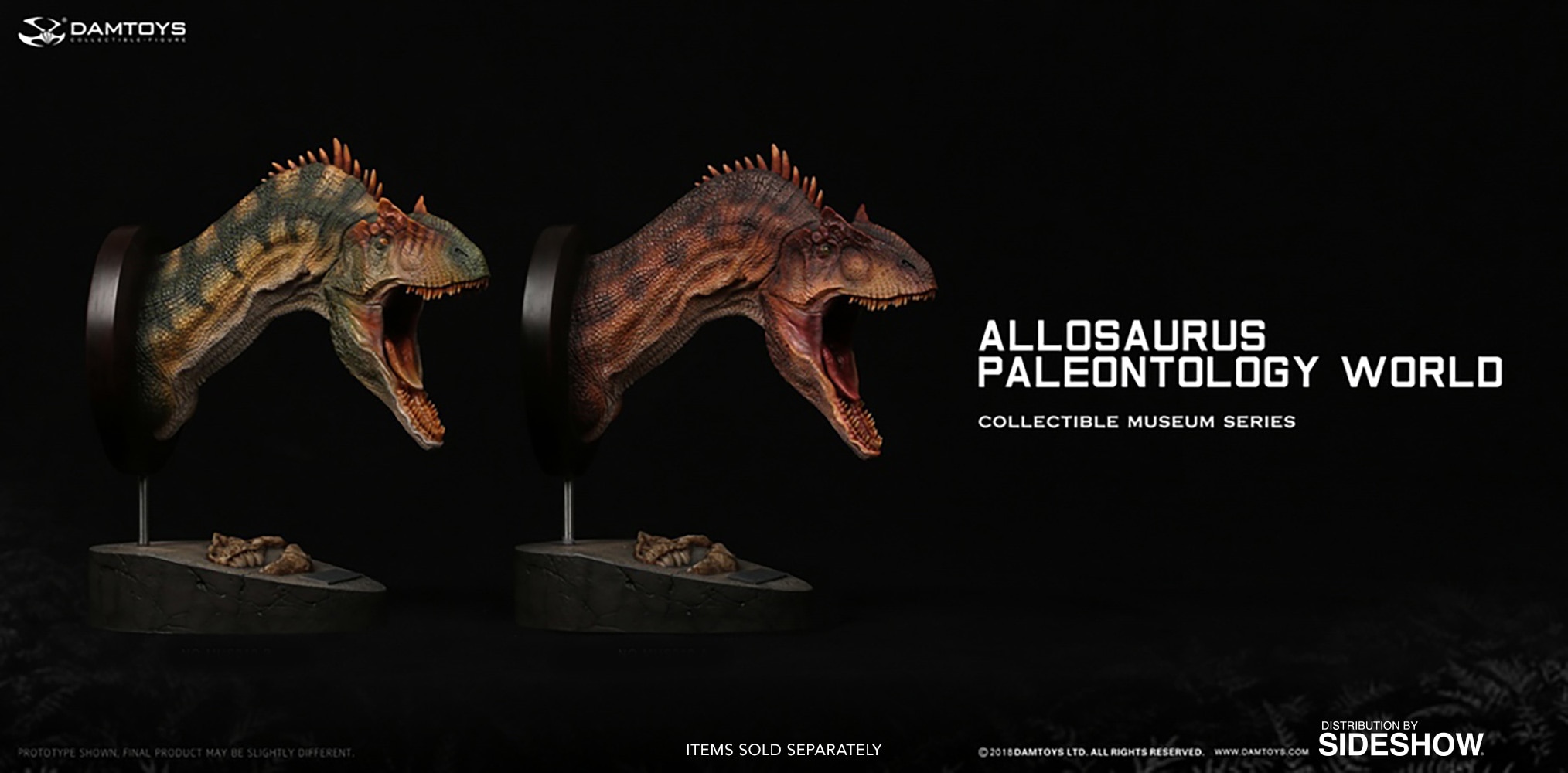 Allosaurus Bust  (Prototype Shown) View 10