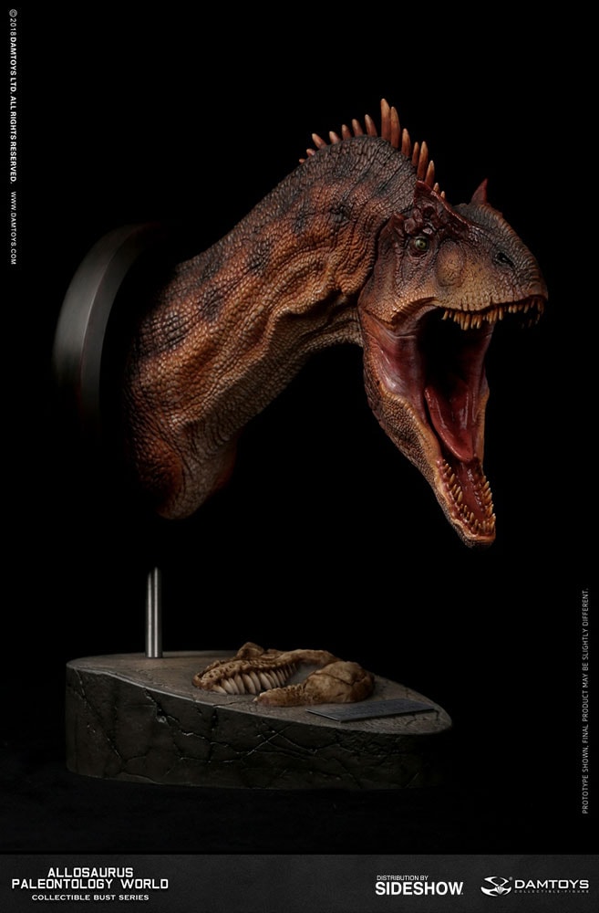 Allosaurus Bust  (Prototype Shown) View 2
