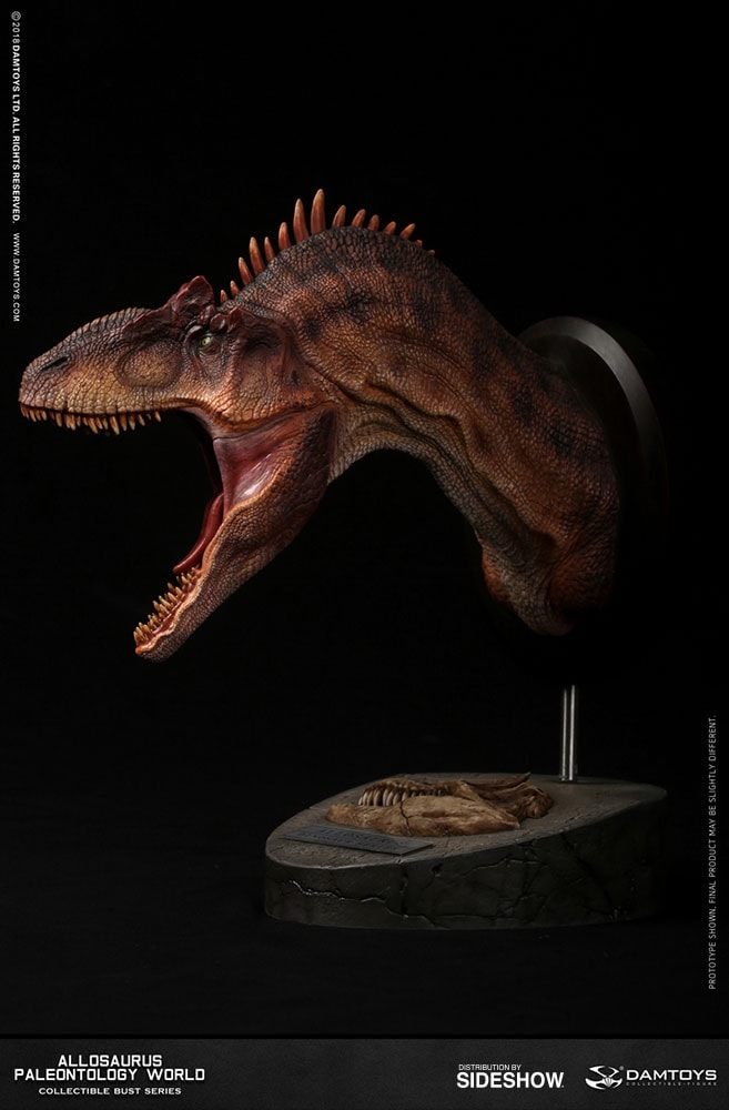 Allosaurus Bust  (Prototype Shown) View 4