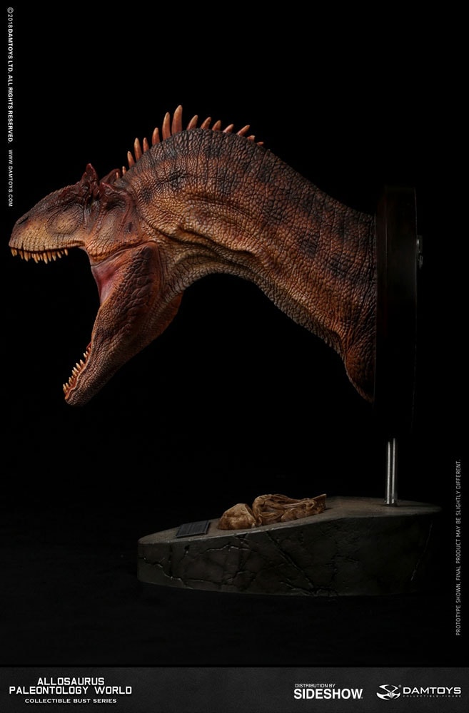 Allosaurus Bust  (Prototype Shown) View 5