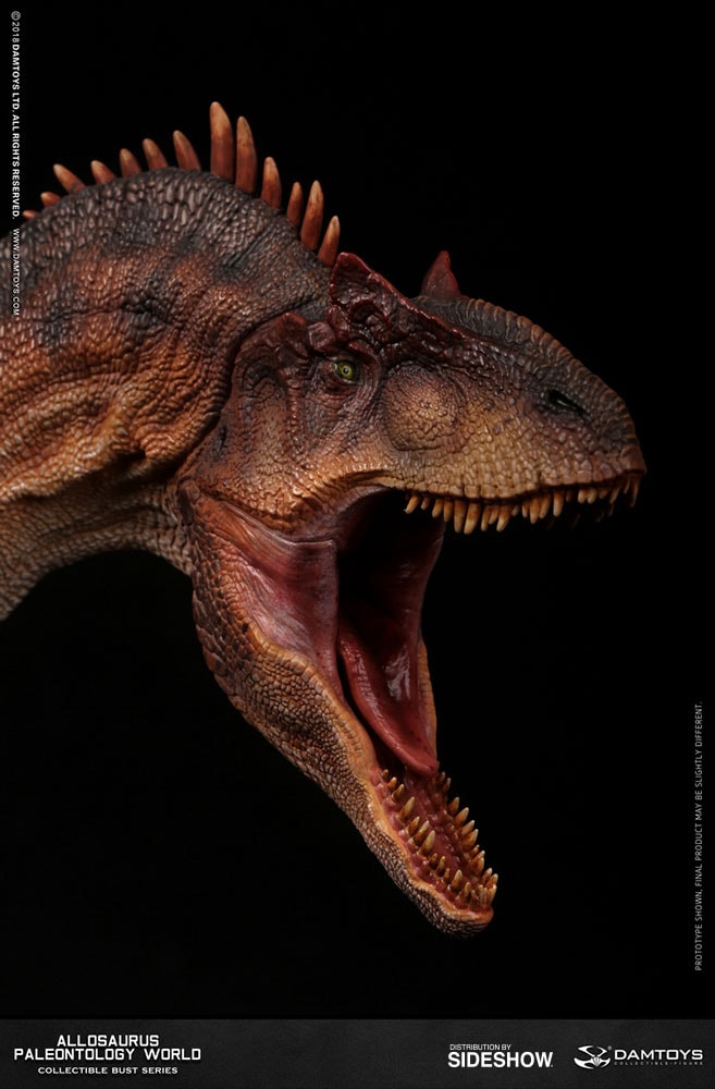 Allosaurus Bust  (Prototype Shown) View 6