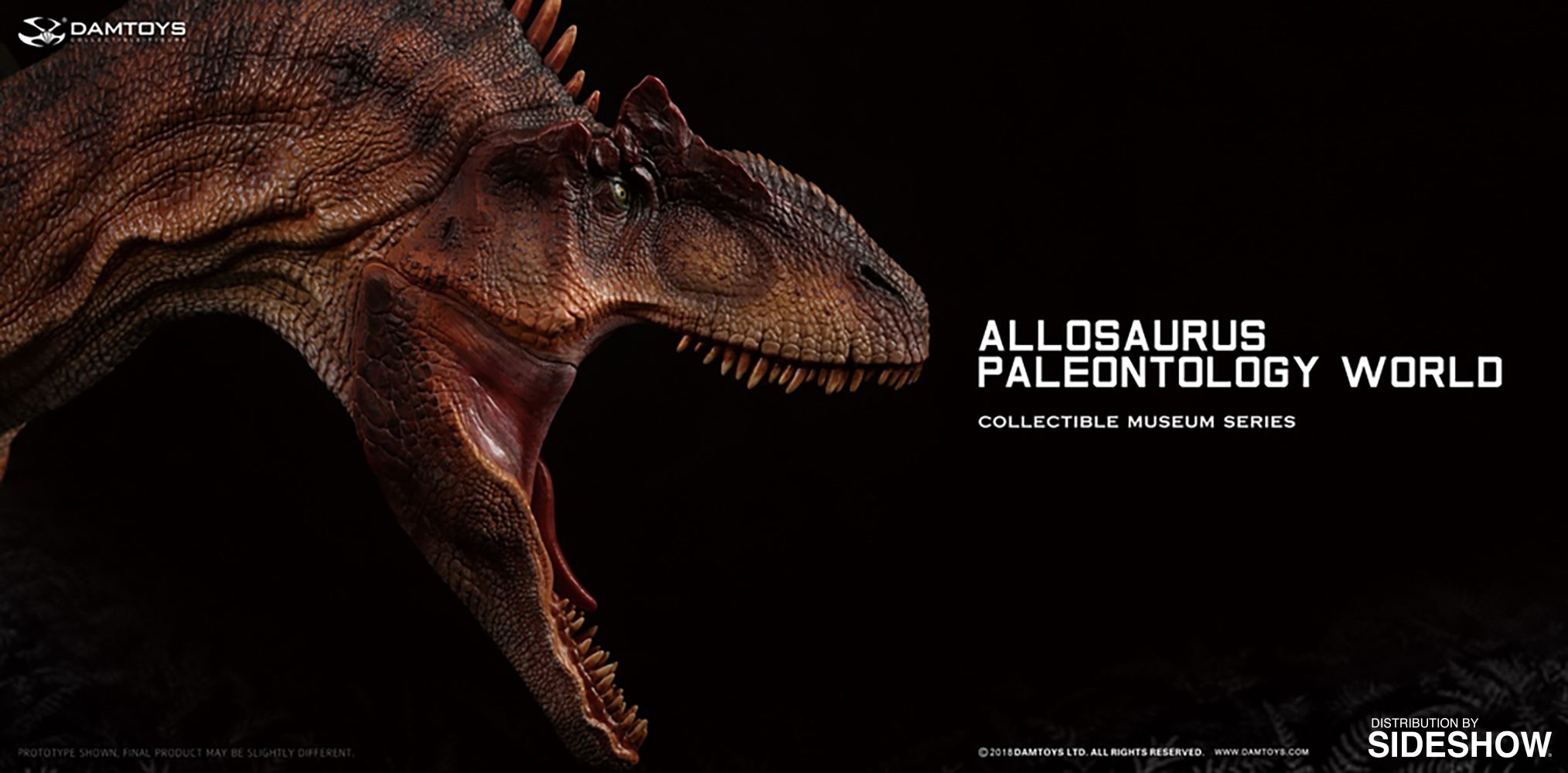 Allosaurus Bust  (Prototype Shown) View 7