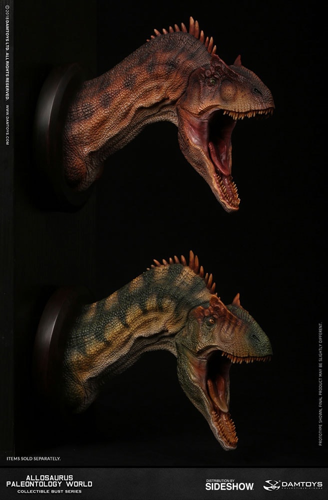 Allosaurus Bust  (Prototype Shown) View 8
