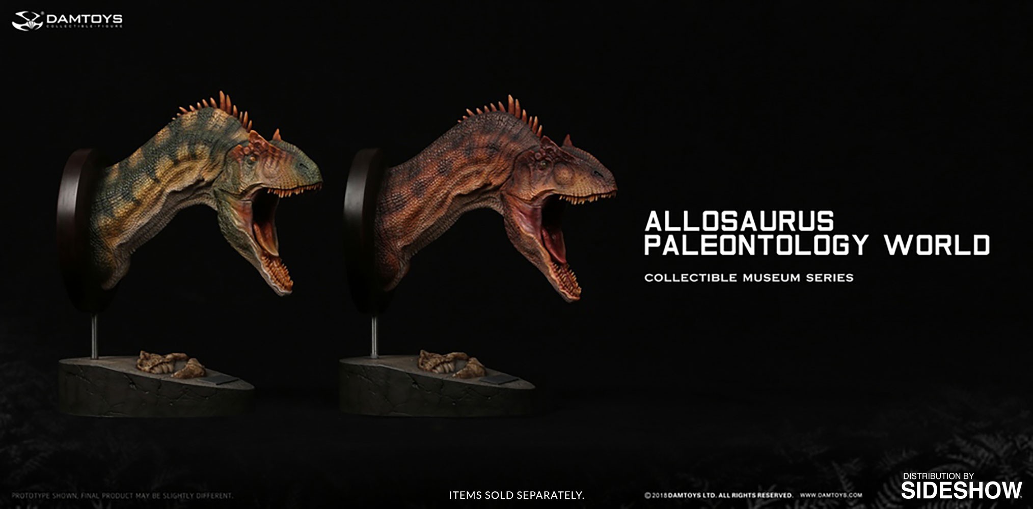 Allosaurus Bust  (Prototype Shown) View 9