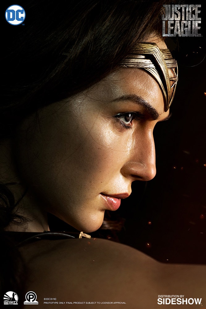 Wonder Woman (Prototype Shown) View 6