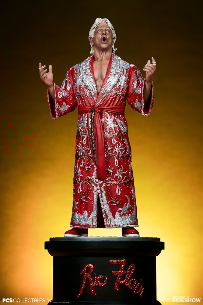 Ric Flair Collector Edition - Prototype Shown