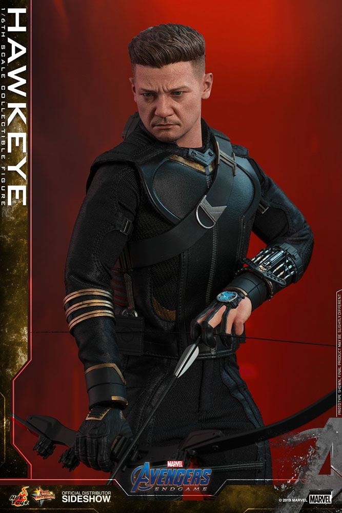 Hawkeye Collector Edition (Prototype Shown) View 5