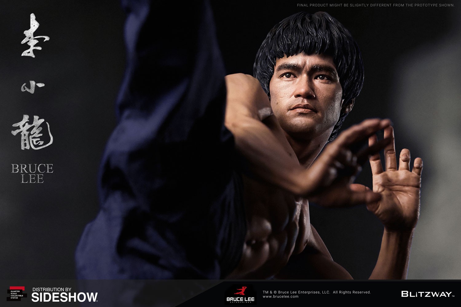Bruce Lee Tribute