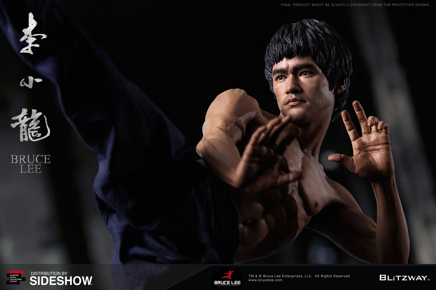 Bruce Lee Tribute