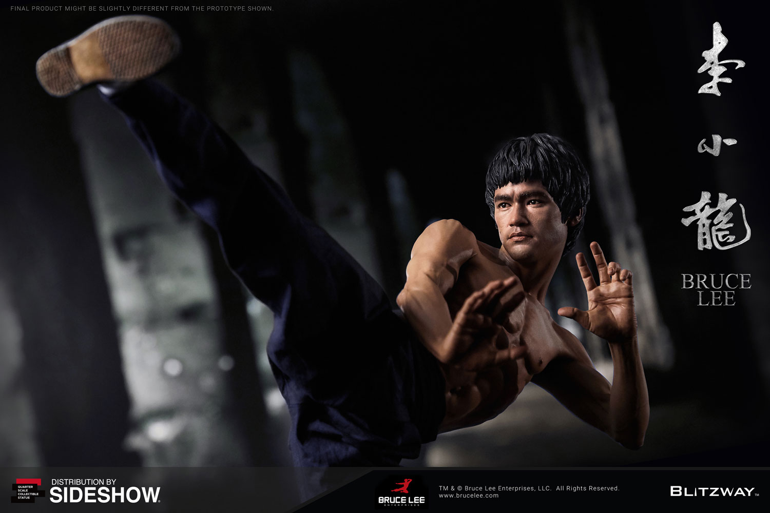 Bruce Lee Tribute