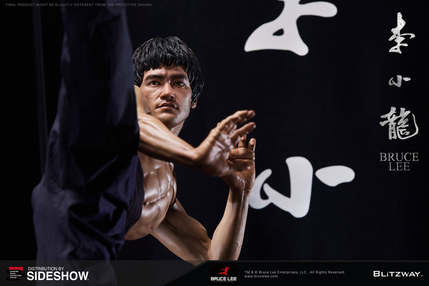 Bruce Lee Tribute