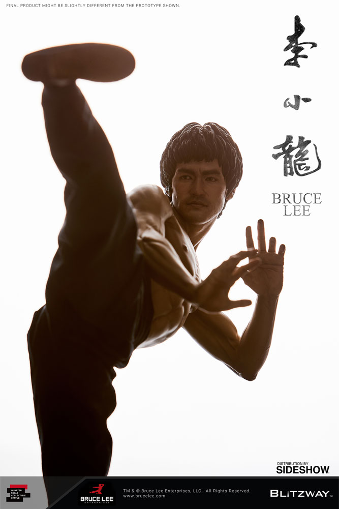 Bruce Lee Tribute- Prototype Shown