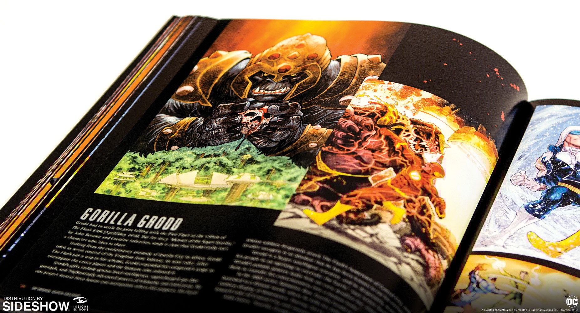 DC Comics: Super-Villains: The Complete Visual History