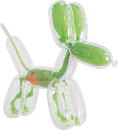 Funny Anatomy Balloon Dog (Sky Blue Edition)