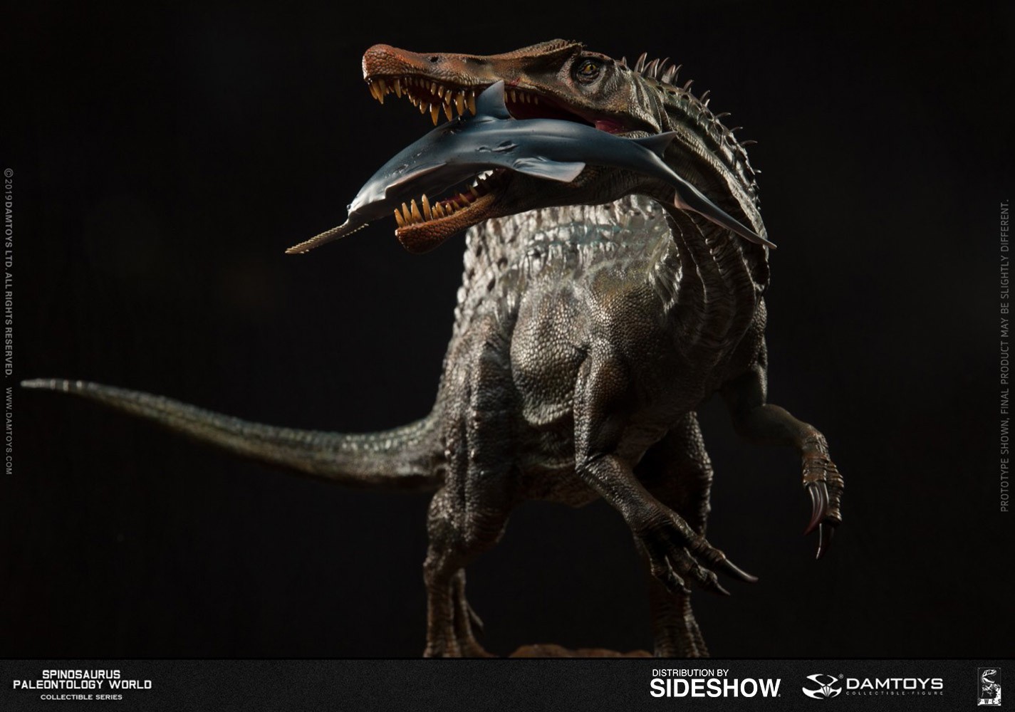 Spinosaurus Statues  Exclusive Edition (Prototype Shown) View 6