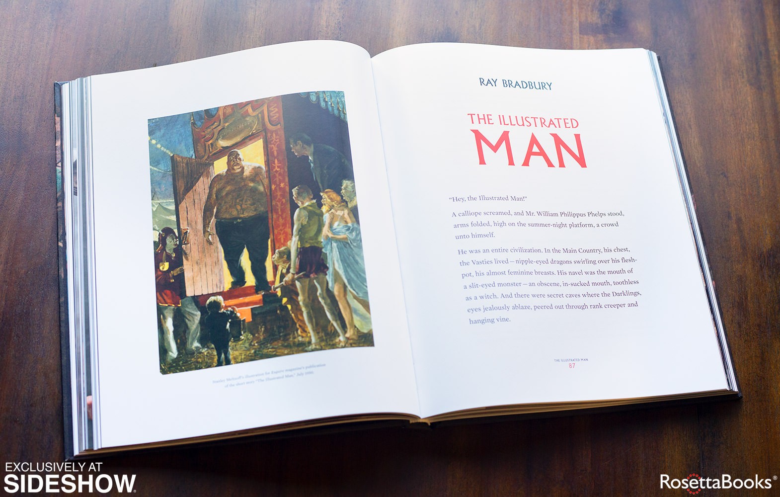 All of Me is Illustrated (Deluxe Edition) Book  (Prototype Shown) View 24