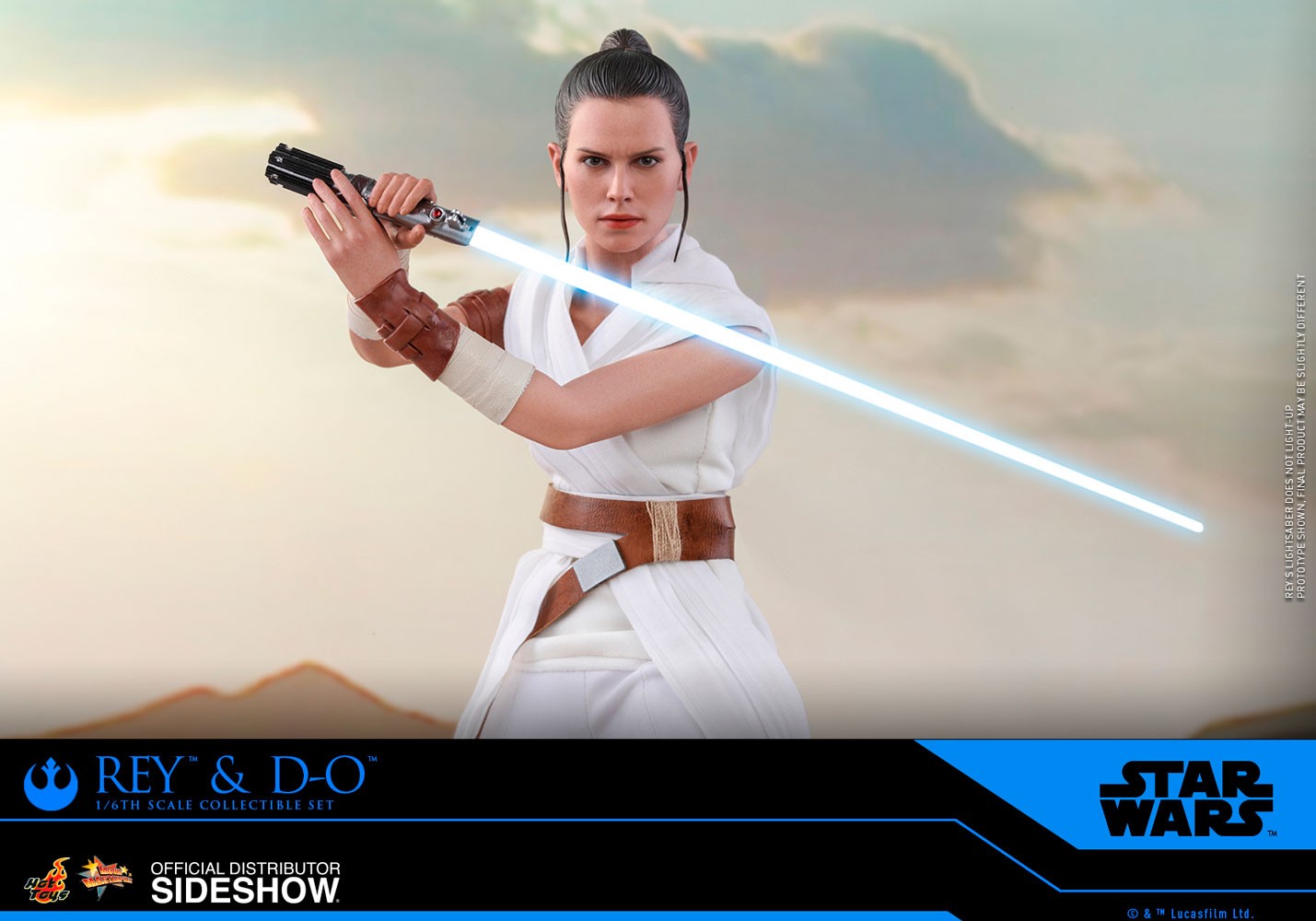 Rey and D-O (Prototype Shown) View 16