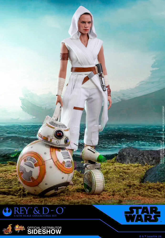 Rey and D-O (Prototype Shown) View 10