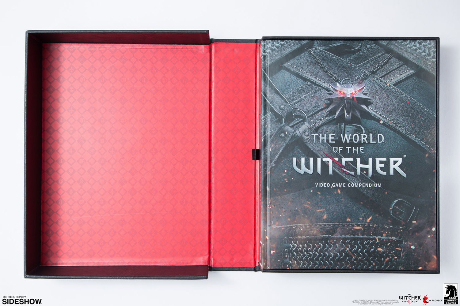 The World of The Witcher- Prototype Shown