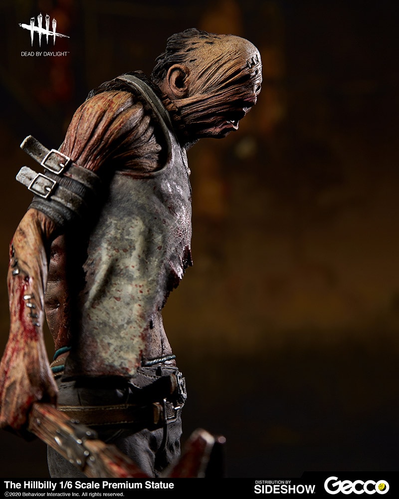The Hillbilly (Prototype Shown) View 18