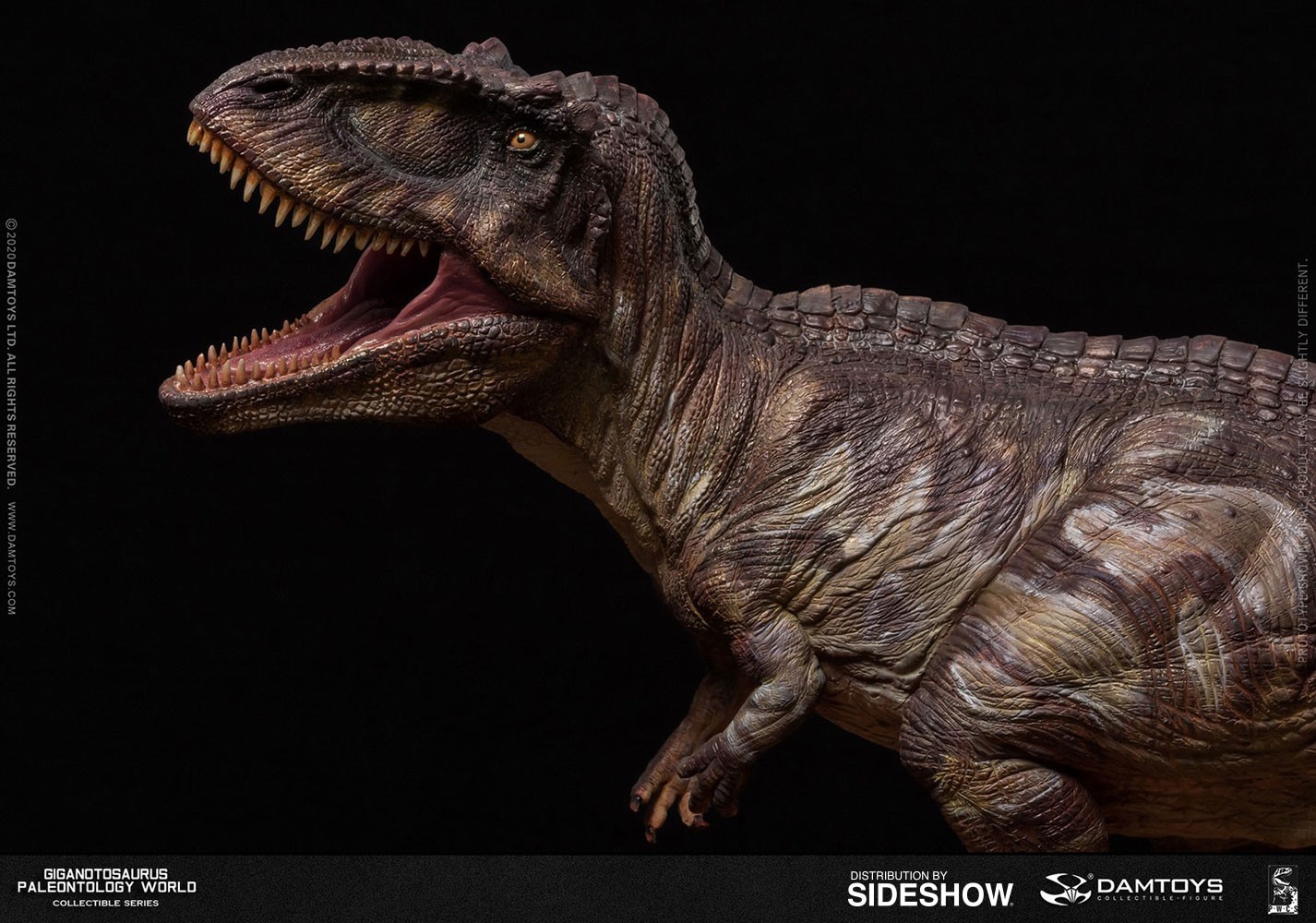 Giganotosaurus