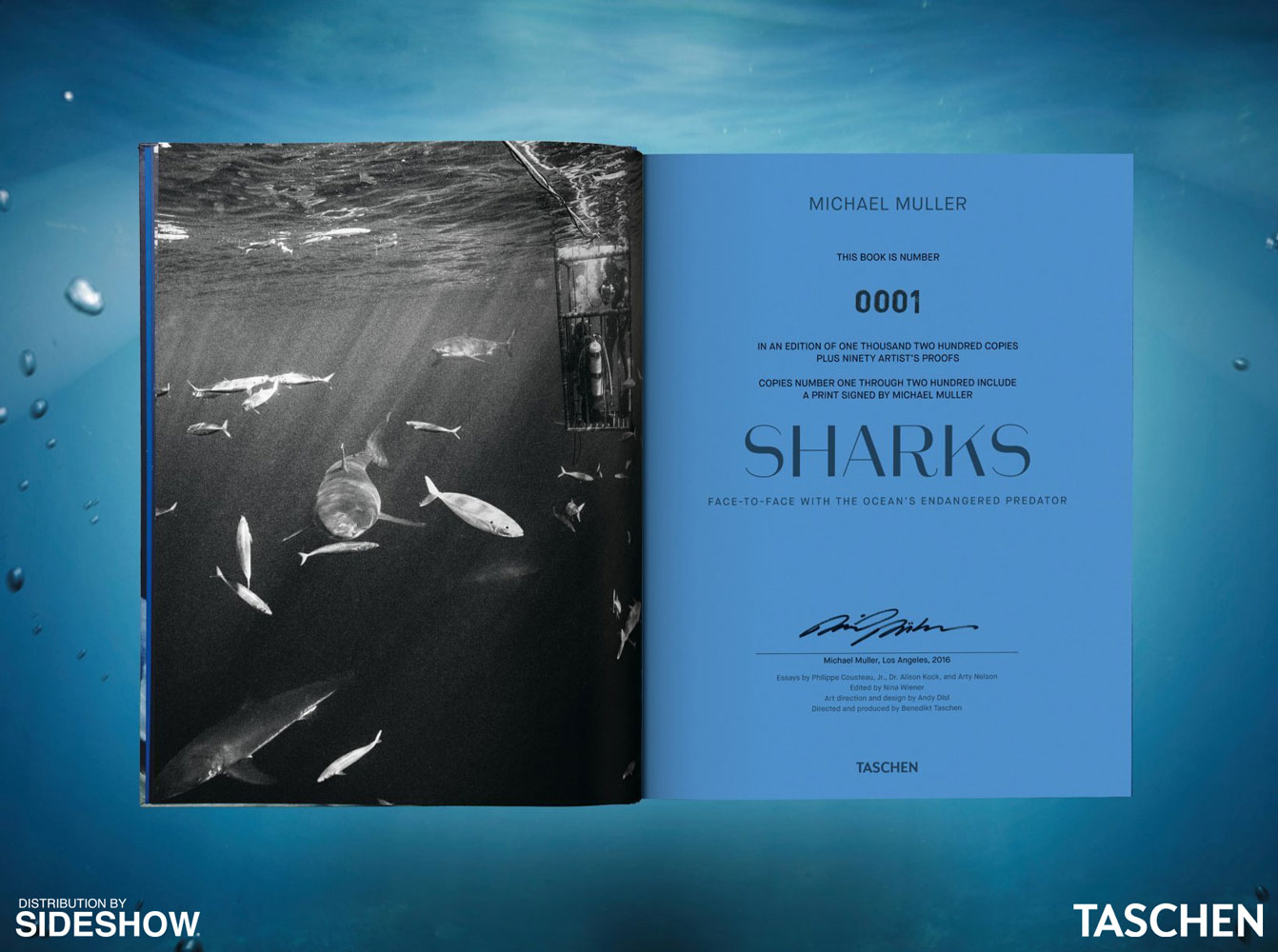 Michael Muller. Sharks (Prototype Shown) View 1