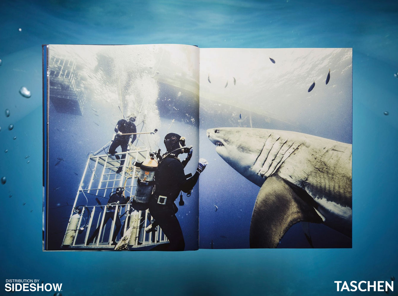 Michael Muller. Sharks (Prototype Shown) View 2