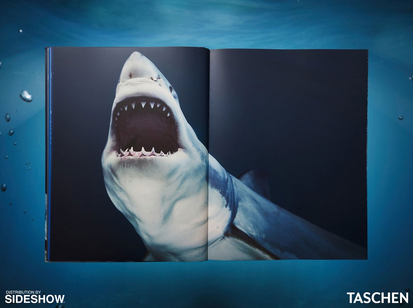 Michael Muller. Sharks (Prototype Shown) View 4