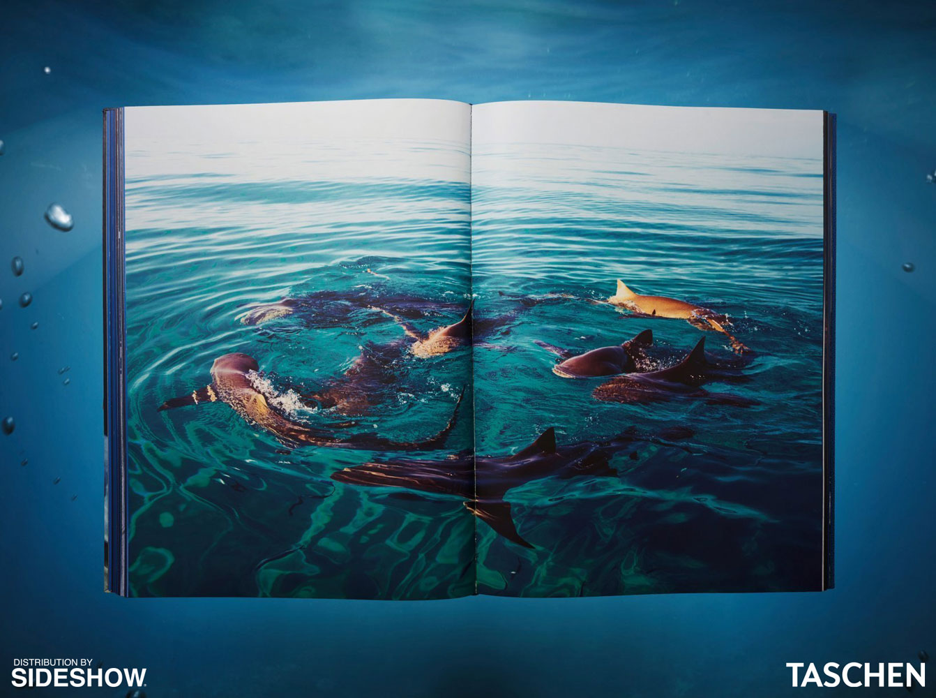 Michael Muller. Sharks (Prototype Shown) View 7
