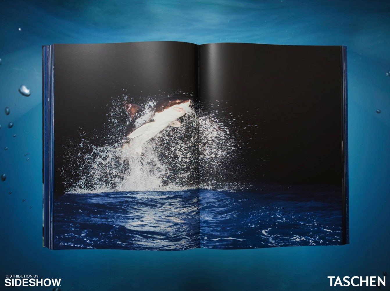 Michael Muller. Sharks (Prototype Shown) View 9