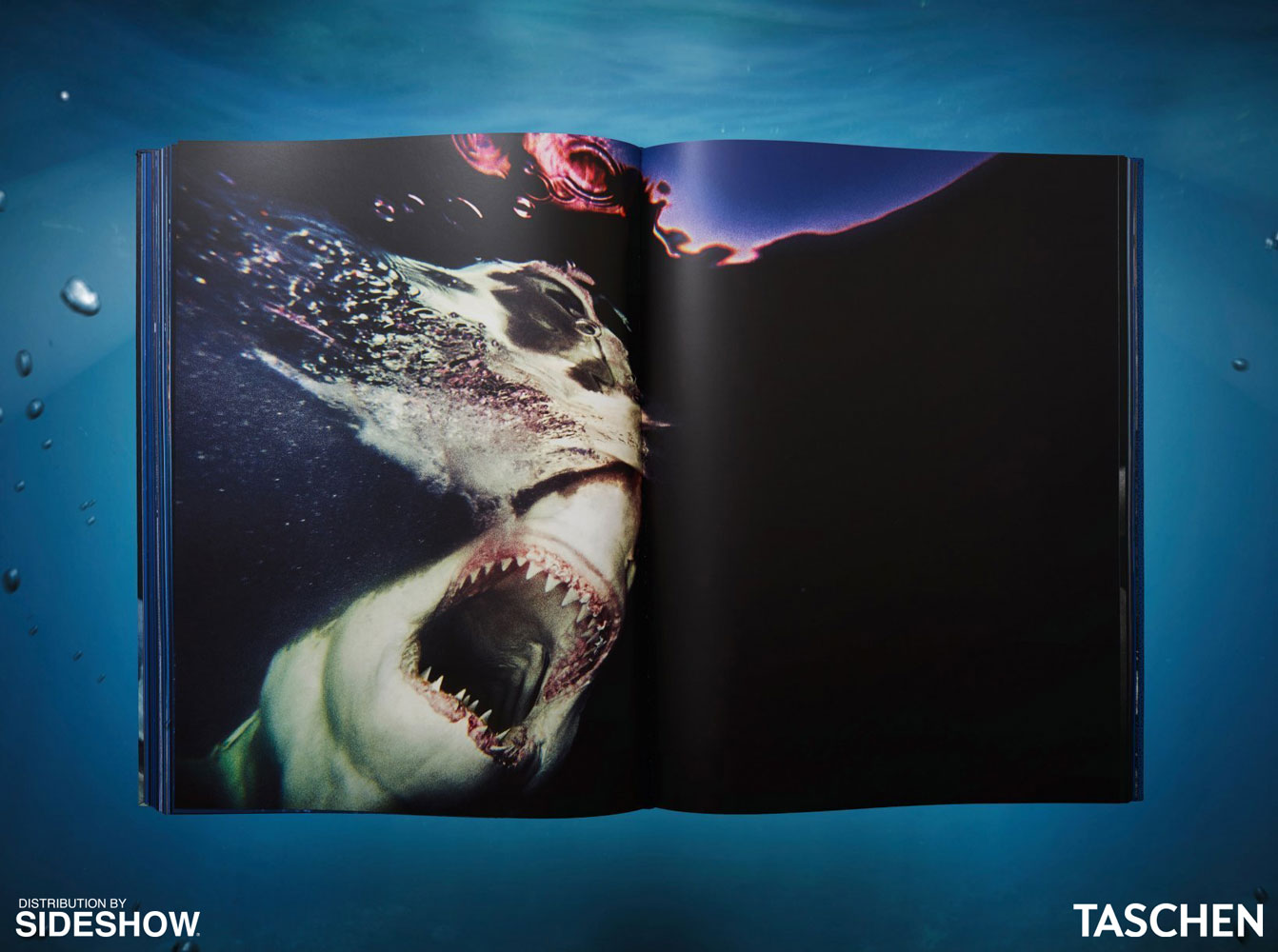 Michael Muller. Sharks (Prototype Shown) View 10