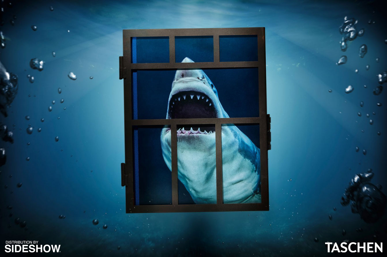 Michael Muller. Sharks (Prototype Shown) View 14