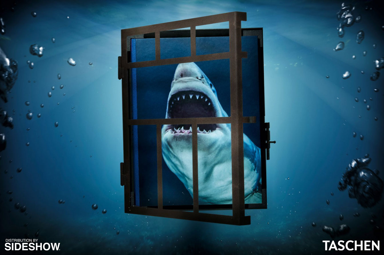 Michael Muller. Sharks (Prototype Shown) View 15