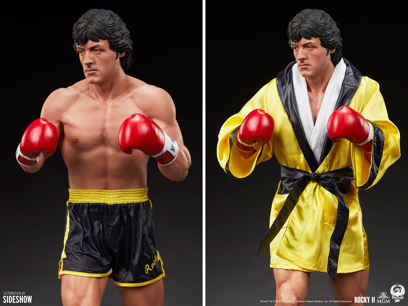 Rocky II View 13