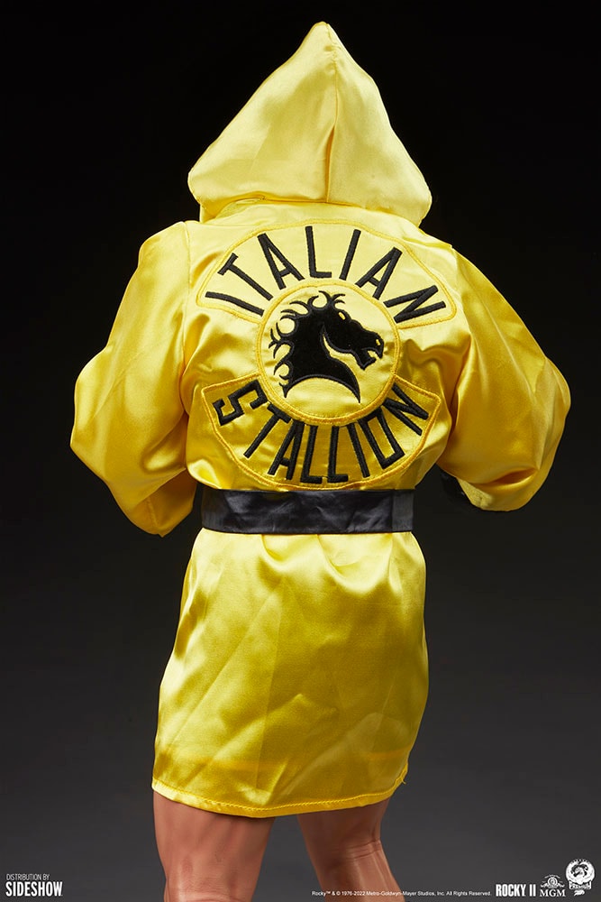 Rocky II View 11