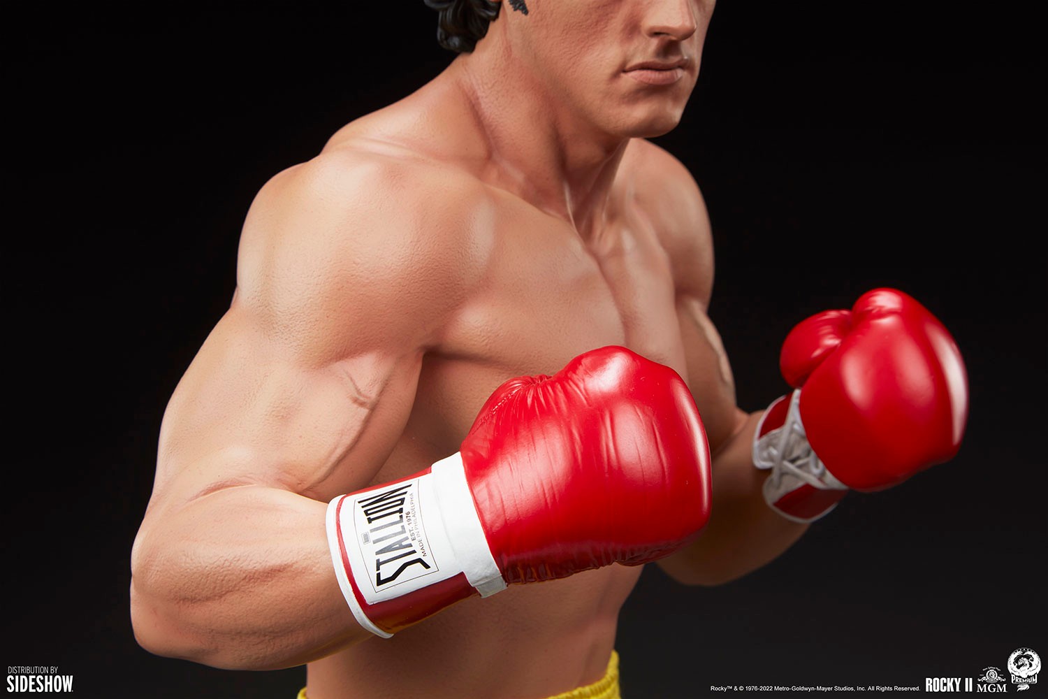Rocky II View 10