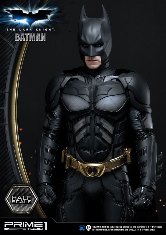 DC Comics Batman Statues  Collector Edition (Prototype Shown) View 10
