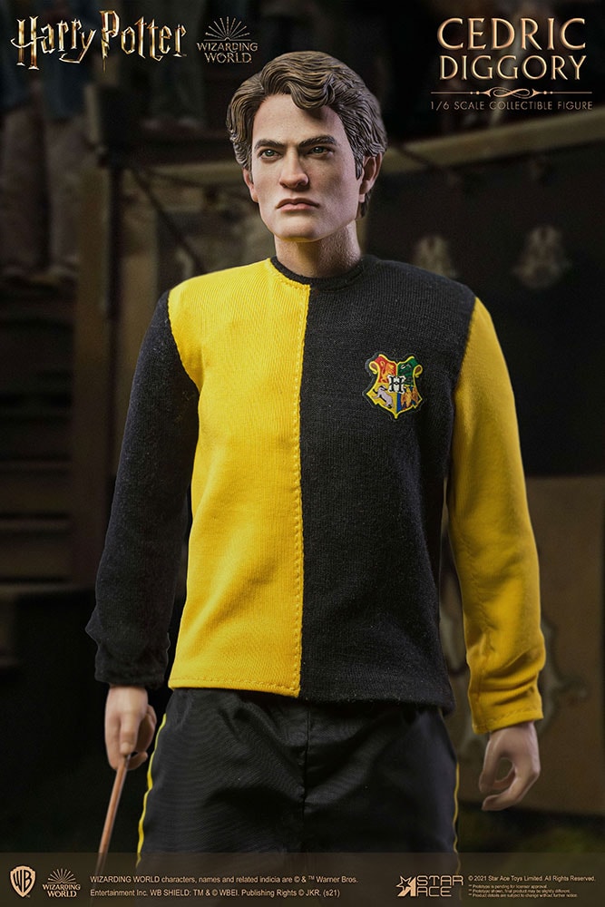 Cedric Diggory (Tri-Wizard Version) (Prototype Shown) View 2