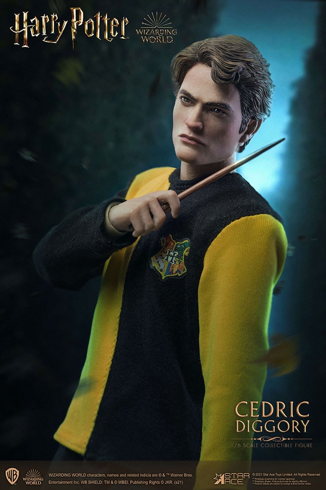 Cedric Diggory (Tri-Wizard Version) (Prototype Shown) View 5